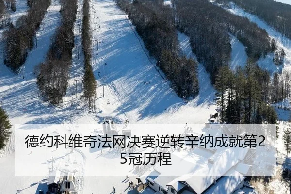 德约科维奇法网决赛逆转辛纳成就第25冠历程
