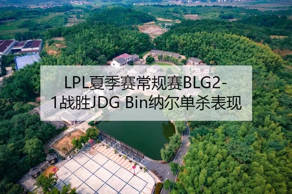 LPL夏季赛常规赛BLG2-1战胜JDG Bin纳尔单杀表现