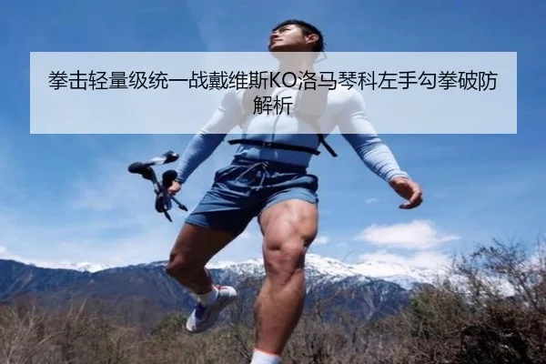拳击轻量级统一战戴维斯KO洛马琴科左手勾拳破防解析